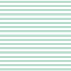 Horizontal Dress Stripe in Mint