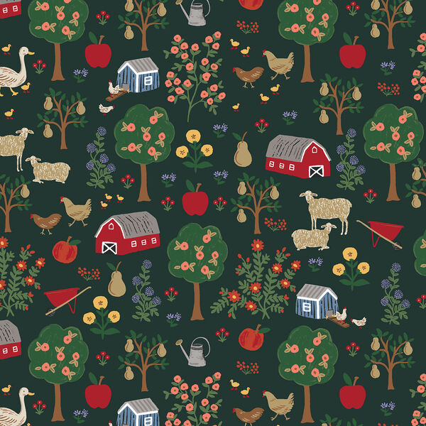 Farmhouse in Evergreen