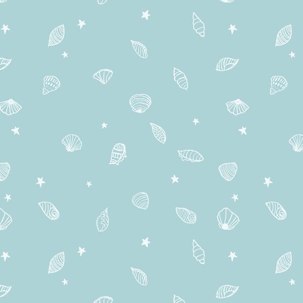 Seashells in Pacific