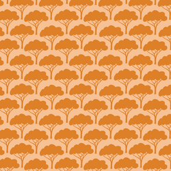 Savanna Trees in Dry Season
