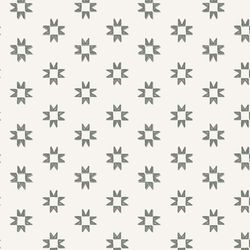 Stamped Barn Star in Wander