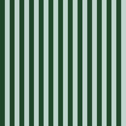 Cabana Stripe in Mint