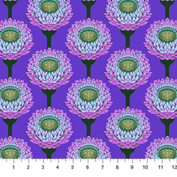 Strawflower in Periwinkle
