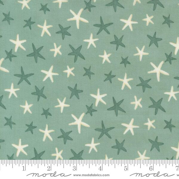 Starfish Dance in Aqua