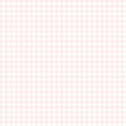 Little Gingham in Soft Pink