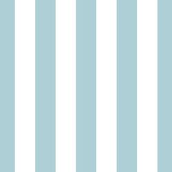 Play Stripe in Powder Blue