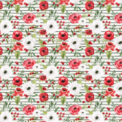 Little Winter Roses in Painted Stripe