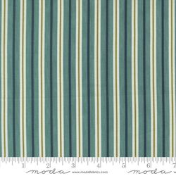 Coastal Stripe in Aqua