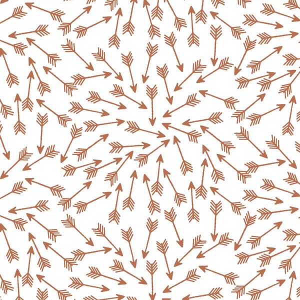 Arrows in Terracotta on White
