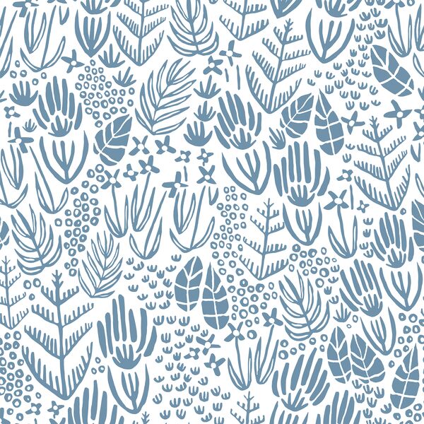 Morning Melody in Carolina Blue
