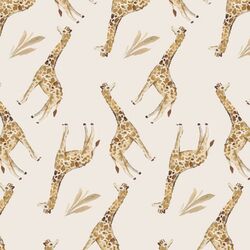 Giraffes in Savanna
