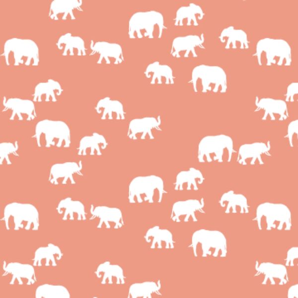 Elephant Silhouette in Grapefruit