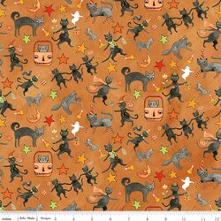 Cats in Orange