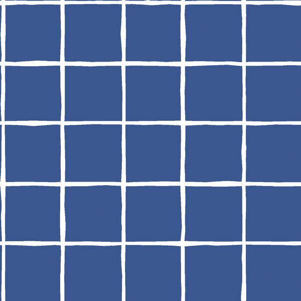 Windowpane in Blue Jay