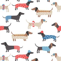 Large Summer Dachshunds in White