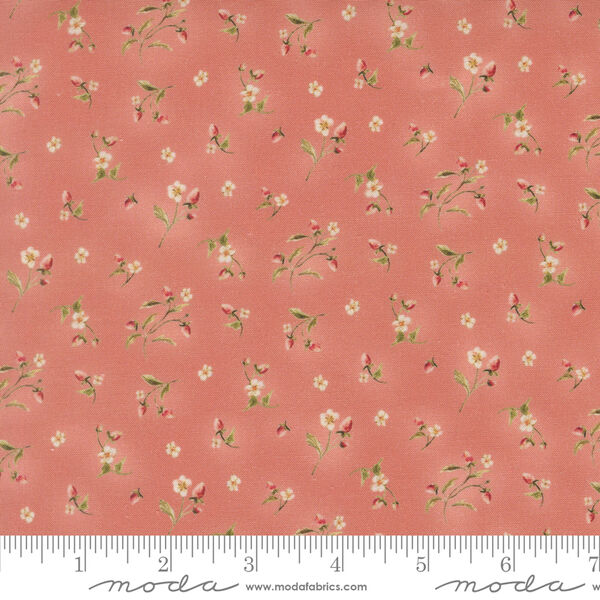 Berry Bramble in Rose