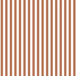Dress Stripe in Terracotta