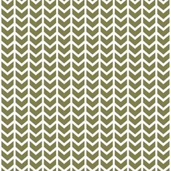 Broken Chevron in Jungle