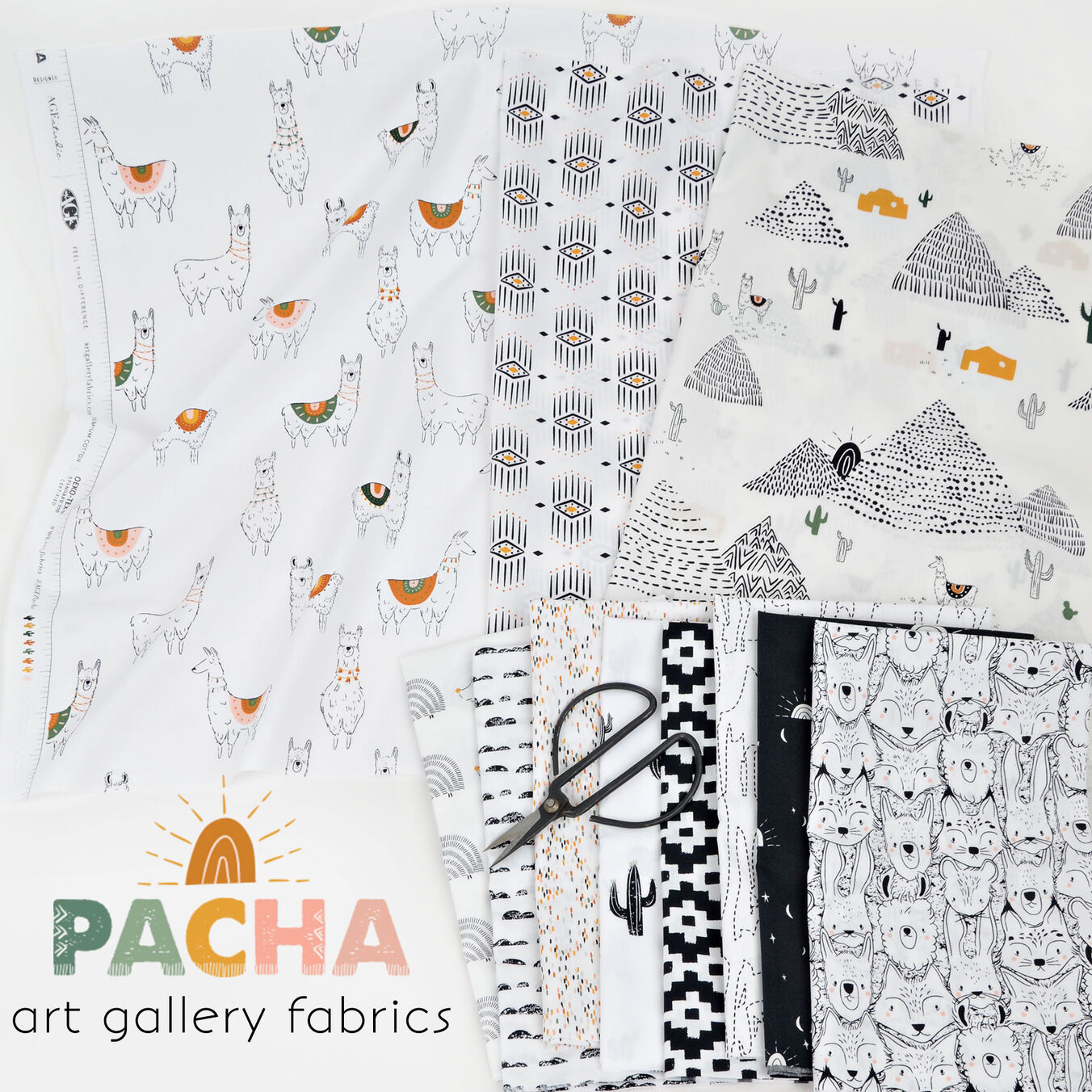 Capsules Pacha Poster Image