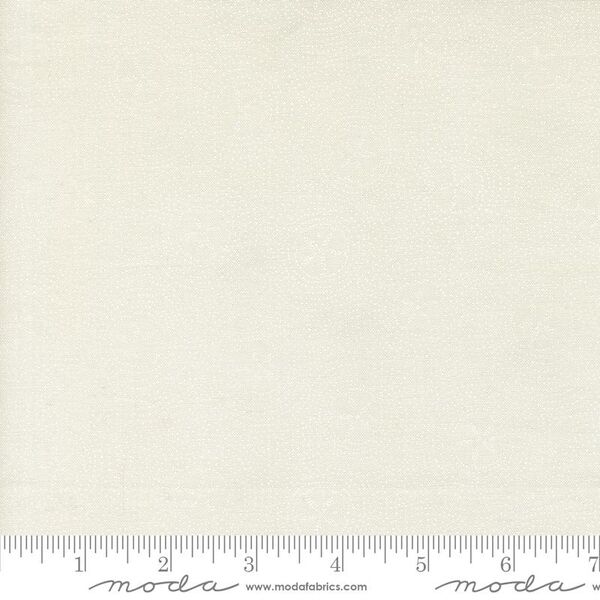 Sand Dollar Ripples in Seafoam White