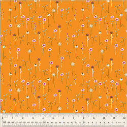 Wildflowers in Orange