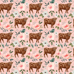 Little Highland Cow in Pink