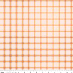 Gingham in Pink