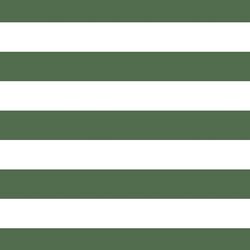 Horizontal Play Stripe in Kale