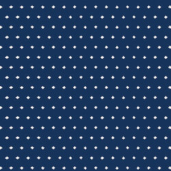 Goodness Thoughts in Navy