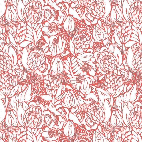 Little Protea in Salmon