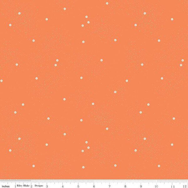 Dainty Daisy in Pumpkin