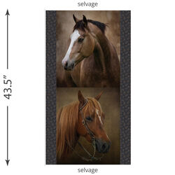 Horses Panel in Multi #1