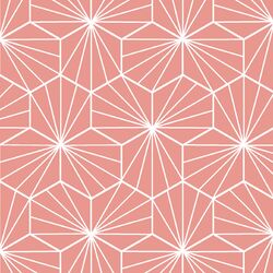 Radiate in Tulip