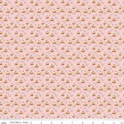 Pumpkin in Blush