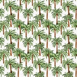 Little Palm Paradise in Coconut