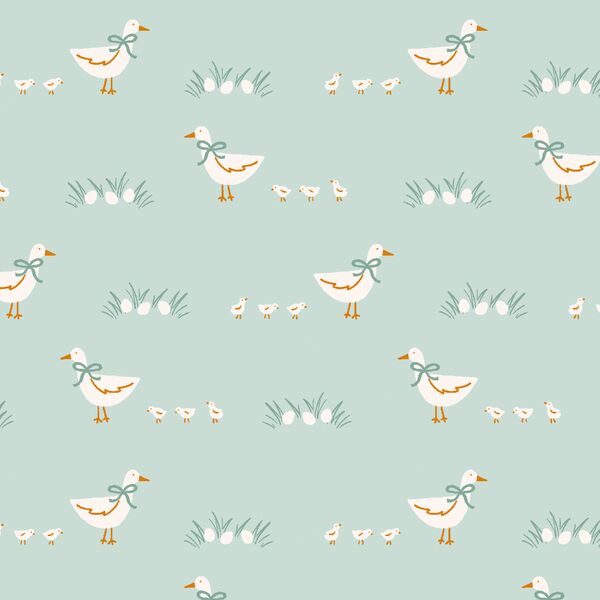 Ducks and Ducklings in Mint