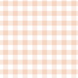 Spring Gingham in Shell