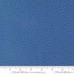 Starlight in Dark Blue