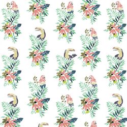Bird Watching in White