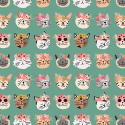 Flower Cats in Vine
