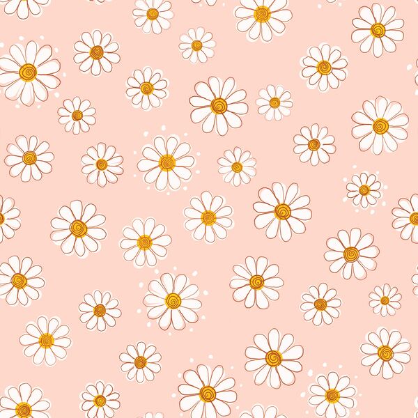 Large Valentine Daisy in Rosy