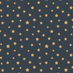 Stars in Midnight Sky