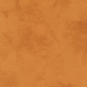 Palette in Tumeric