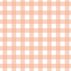 Gingham in Coral Blush