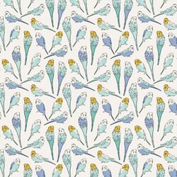 Little Parakeet Sketches in Sky