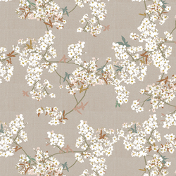 Skye Sakura in Sprout