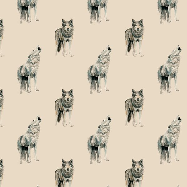 Wolfpack in Wild