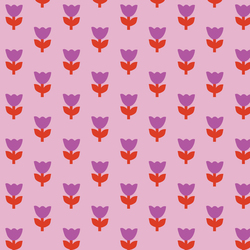 Tulip Tango in Pink