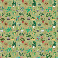 Plants in Olive