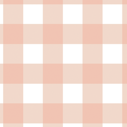 Wild Gingham in Peony Blush